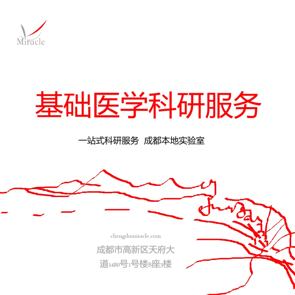 精准捕捉生命活动信号：迈睿可生物提供专业细胞内活性氧检测方案