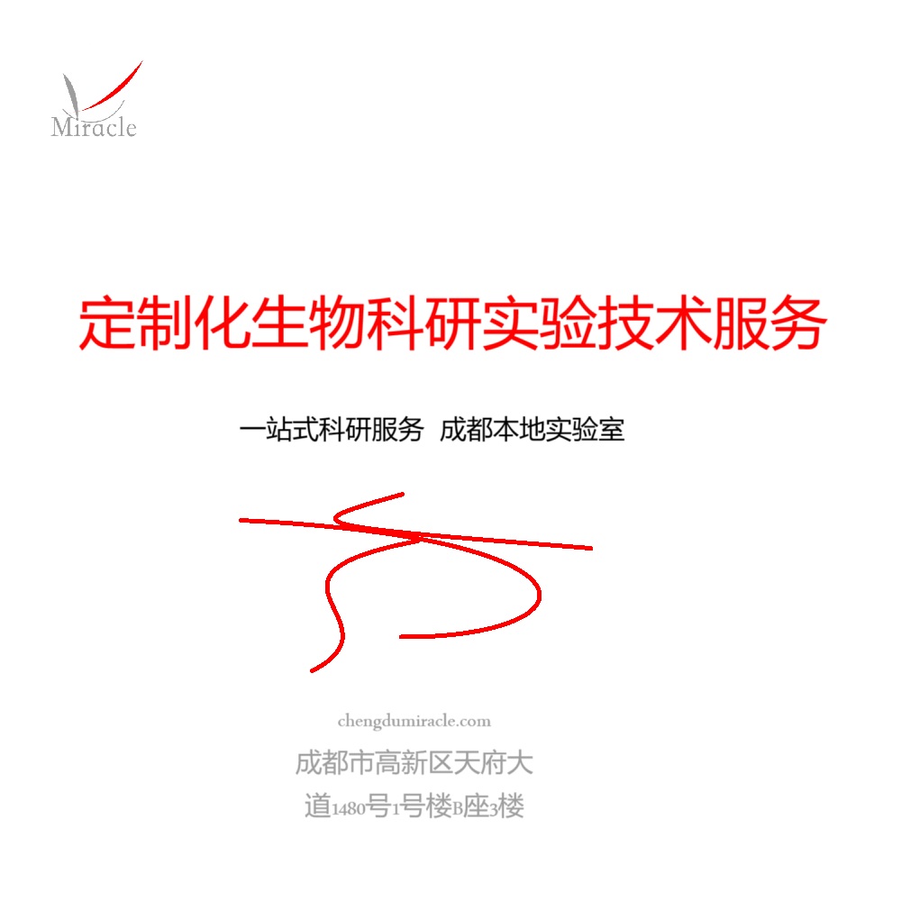 成都迈睿可生物：专注细胞检测，助力本地科研