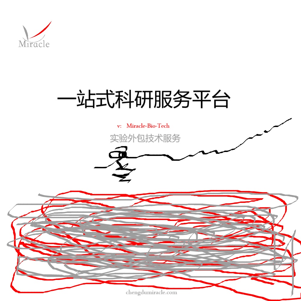 聚焦细胞间通讯：迈睿可生物推出NK细胞外泌体提取完整方案