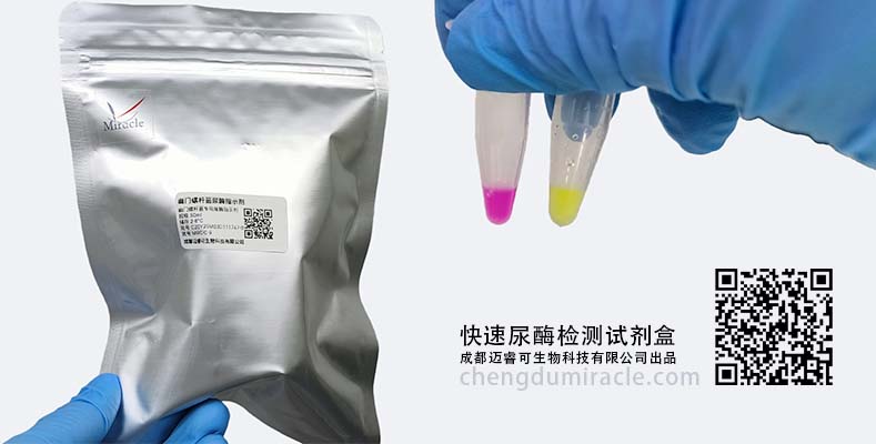 高效科研！幽门螺杆菌快速尿酶检测试剂，迈睿可助力精准鉴定