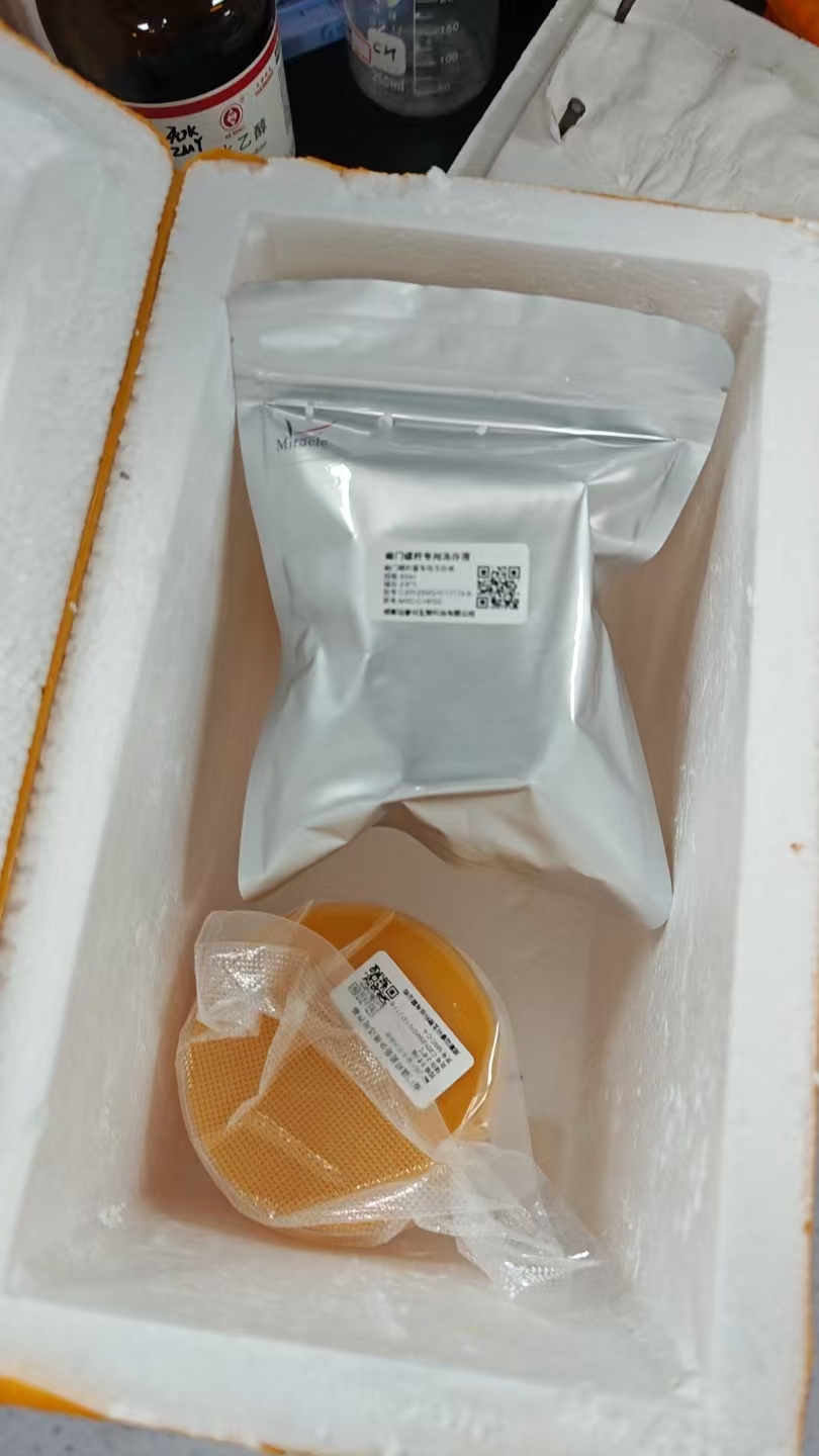 成都迈睿可生物科技有限公司：提供标准幽门螺旋杆菌SS1菌株，助力胃病研究模型构建