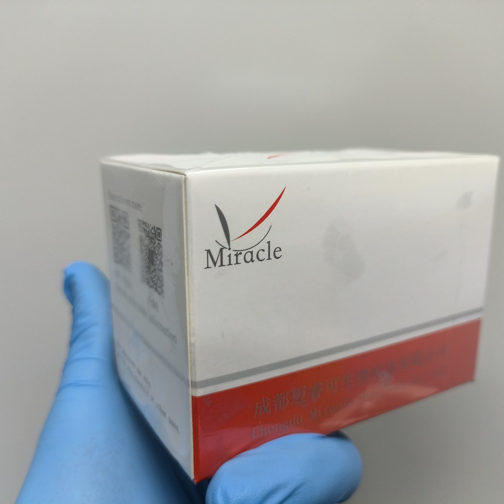 洞见微观世界：迈睿可生物提供专业病理激光共聚焦成像服务