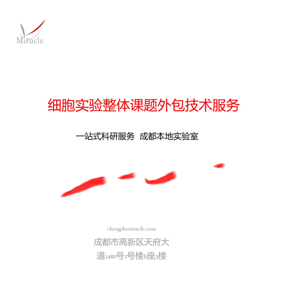 高效基因递送：迈睿可生物提供专业慢病毒包装全流程解决方案