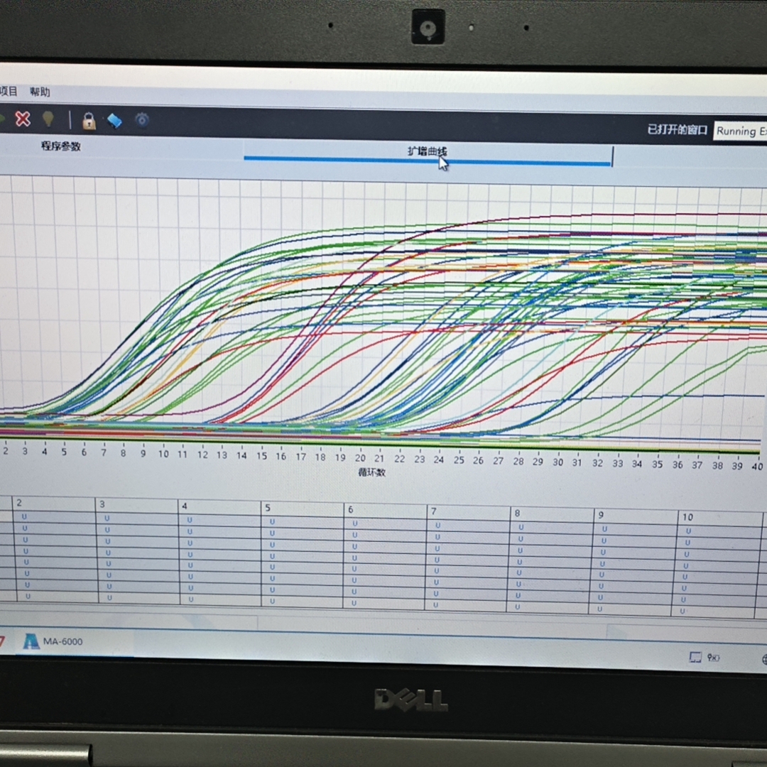 精准定量，省时省力：迈睿可生物提供专业qPCR代做服务