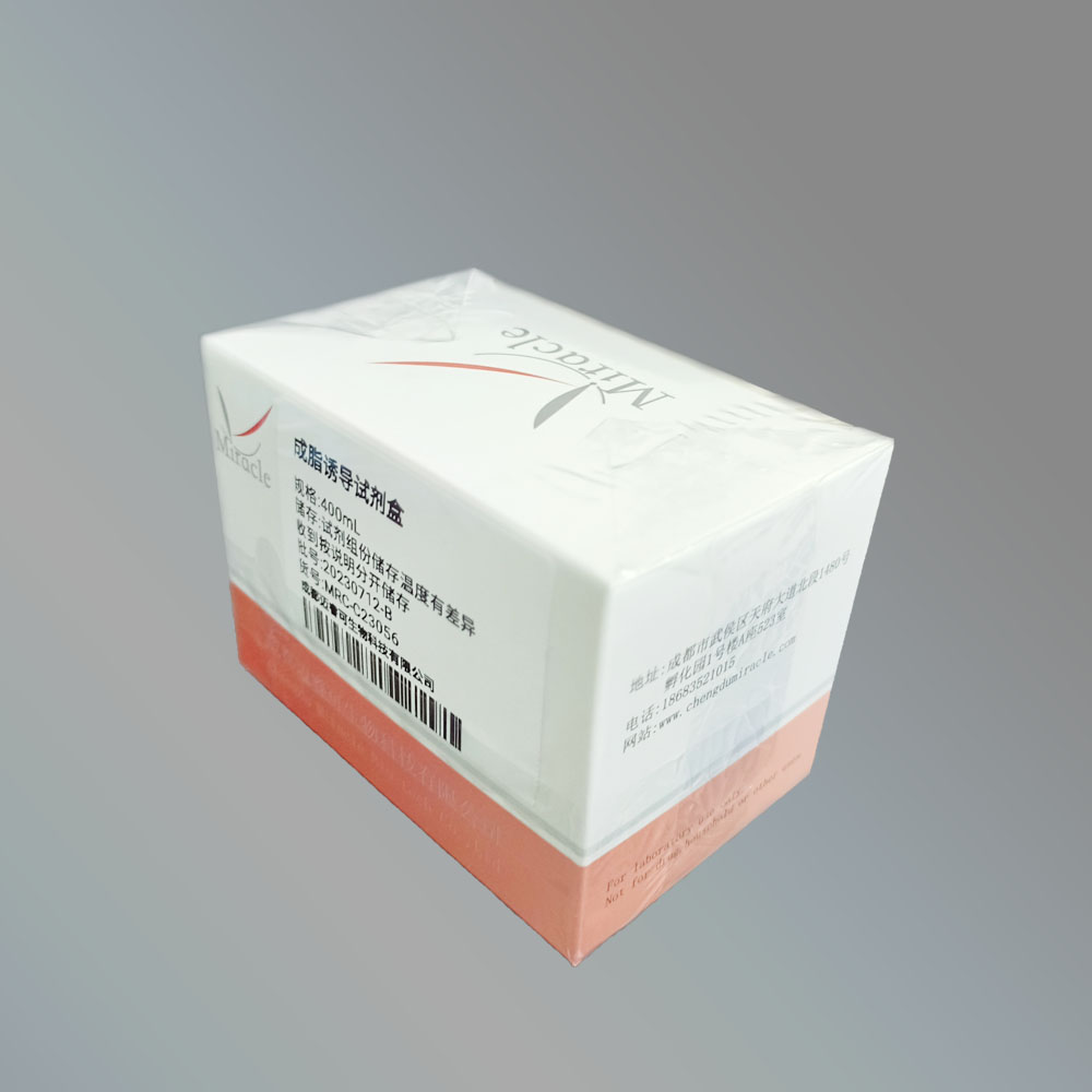 推动脂肪干细胞研究：迈睿可生物发布高性能成脂诱导试剂盒