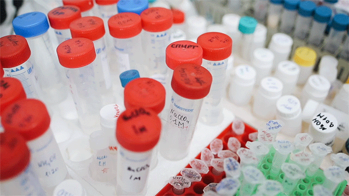 成都迈睿可生物科技有限公司：提供专业整体项目技术服务，助力科研项目高效实施